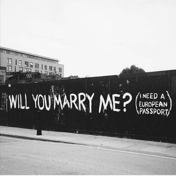 ✈️ - Picture 1 of 1